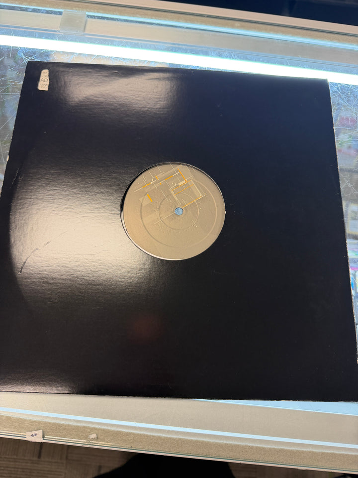 Ak1200 - Fake_Feat.TerraDeva (VG) Vinyl Record VR011726