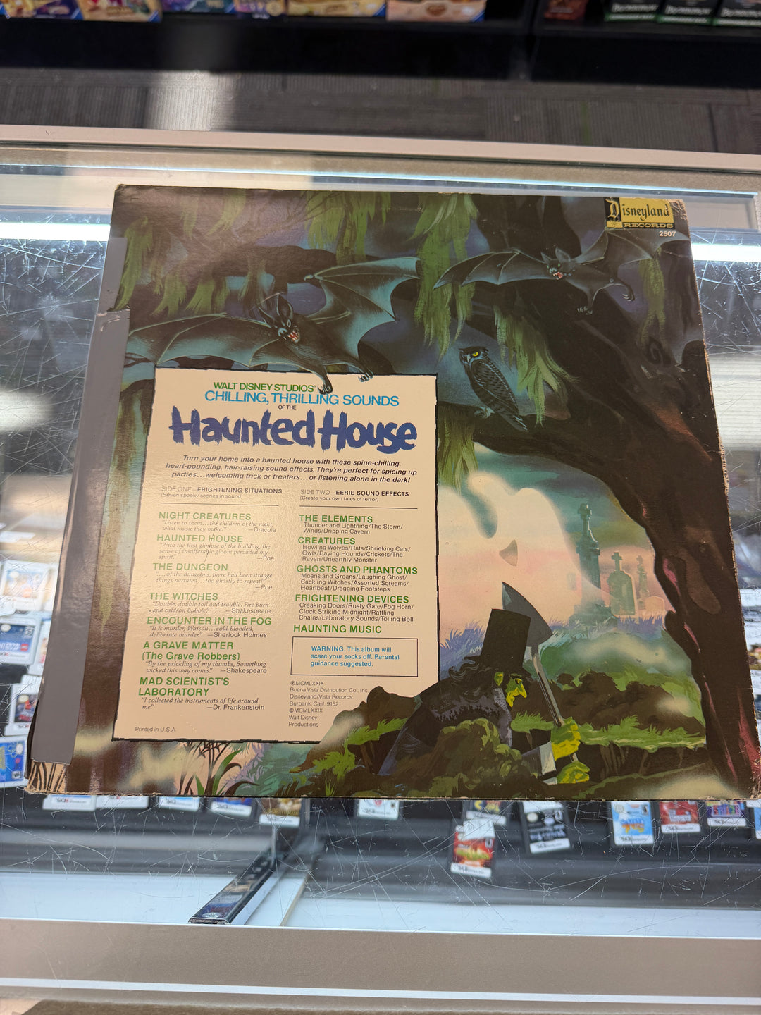 Chilling, Thrilling Sounds Of The Haunted House (VG) Vinyl Record VR012426