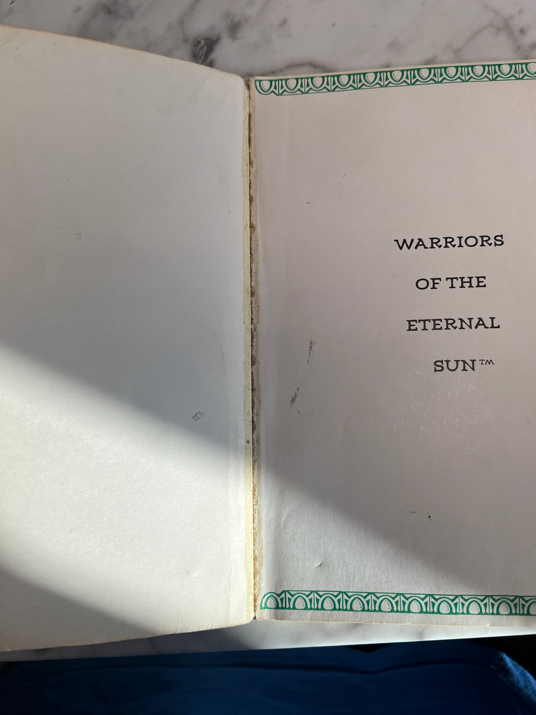 Dungeons & Dragons Warriors of the Eternal Sun Hint Book Sega Genesis Game Guide    DU10924