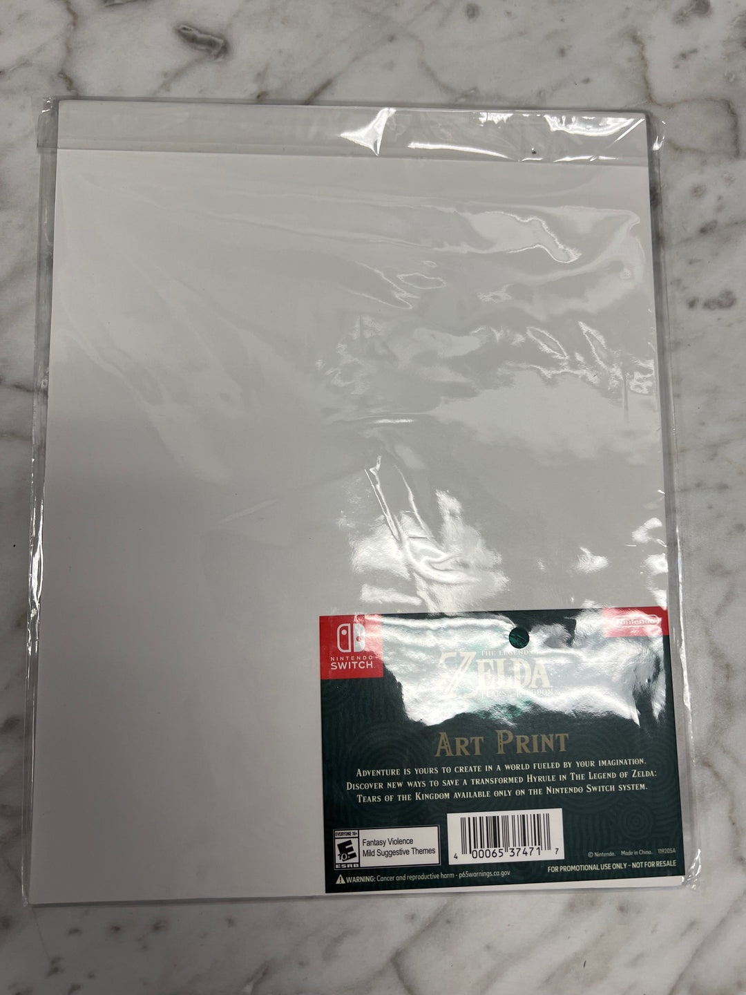 Nintendo The Legend of Zelda Tears of the Kingdom Art Print Best Buy Promo P12825