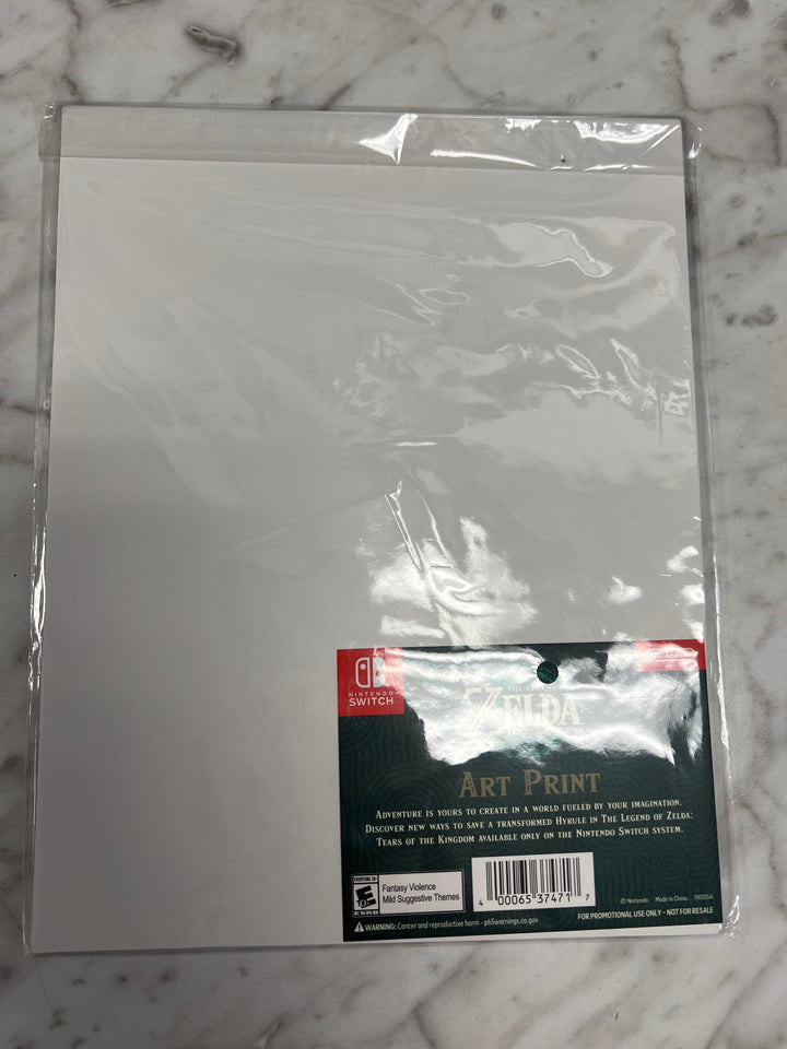 Nintendo The Legend of Zelda Tears of the Kingdom Art Print Best Buy Promo P12825