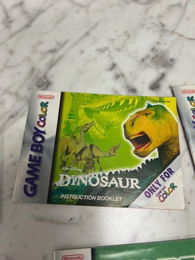 Dinosaur Game Boy Color Manual Only