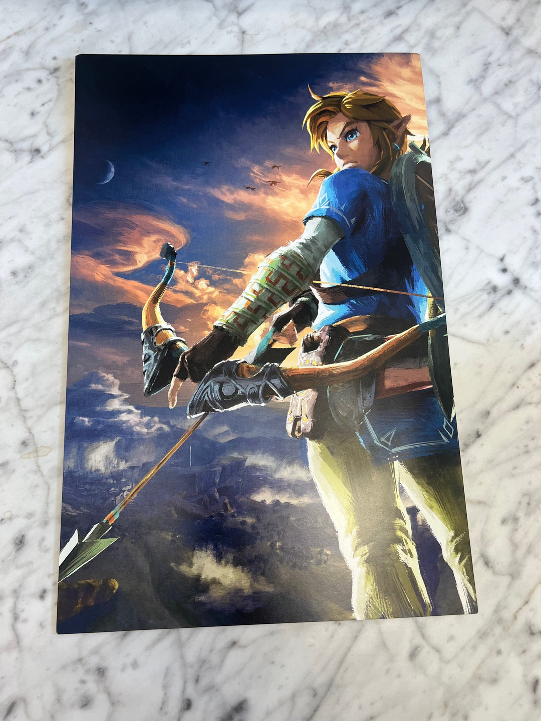 The Legend of Zelda Breath of the Wild 2-Sided Nintendo Switch Promo Poster 11x17  P12925