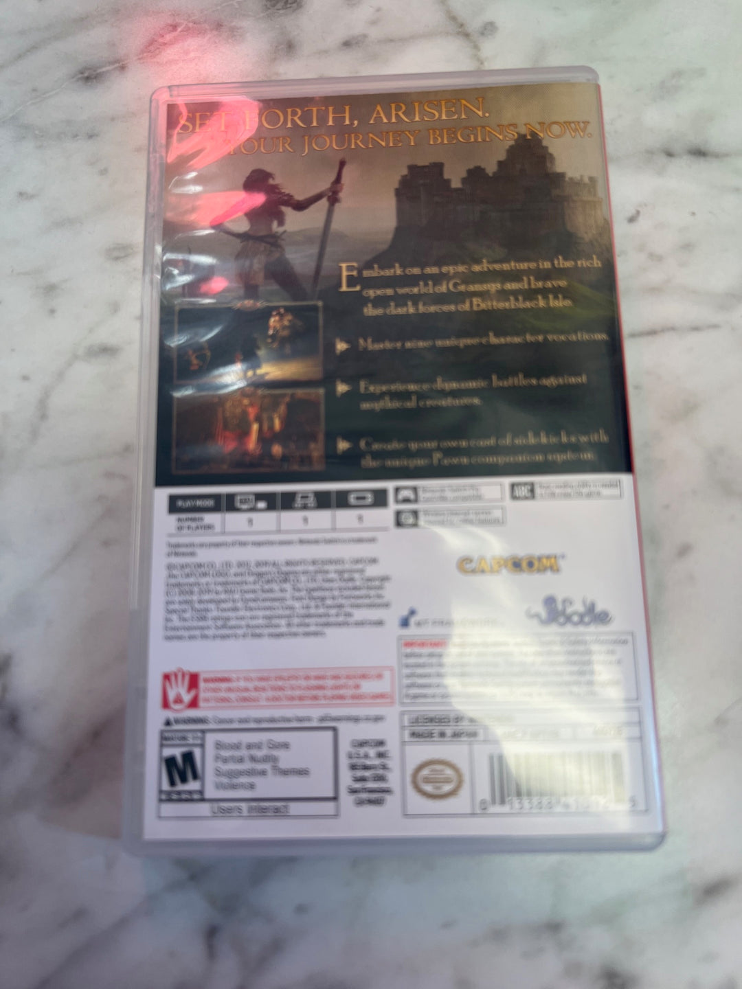 Dragon's Dogma: Dark Arisen - Switch S12825