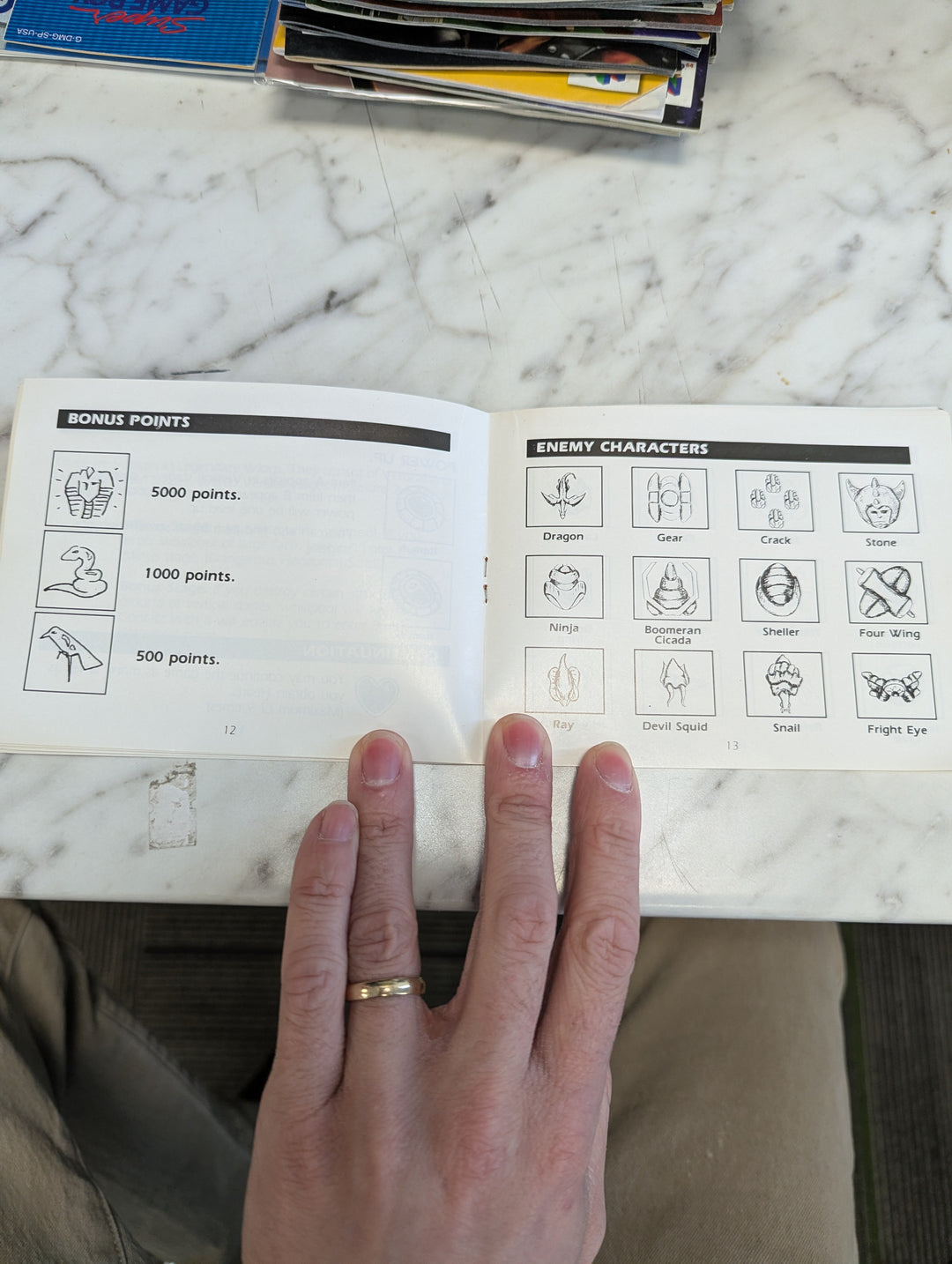 Legendary Wings NES MANUAL ONLY MO3726