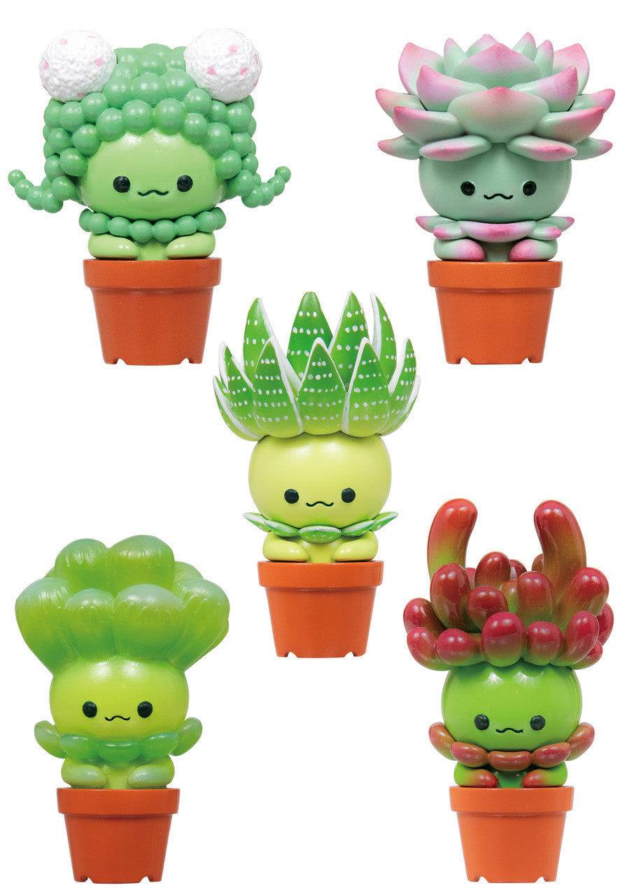 Qualia Succulent Friends Cactus Blind Box