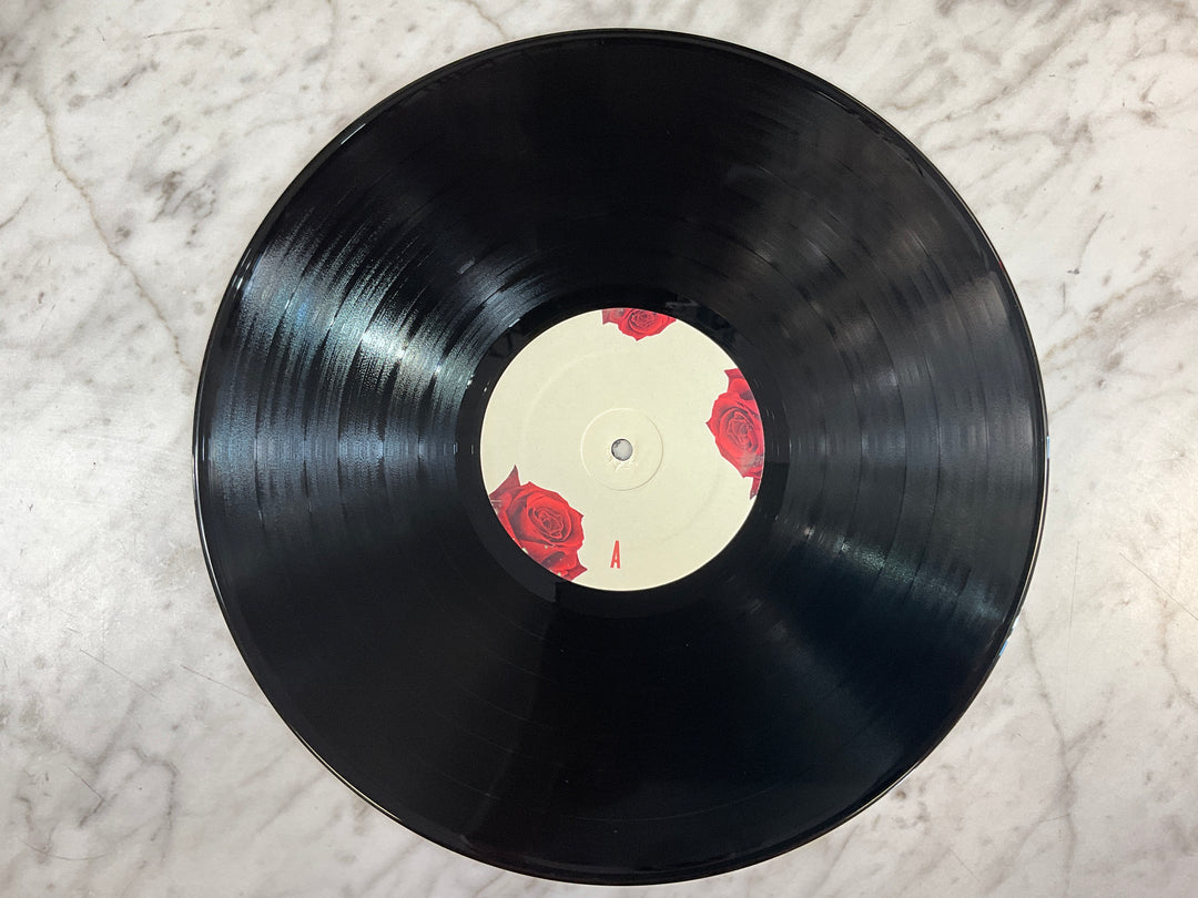 Lana Del Rey - Born To Die (Black Vinyl) Very Good Plus VR103026