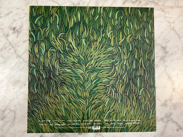 Iron & Wine - Our Endless Numbered Days (Black Vinyl) Very Good VR103026