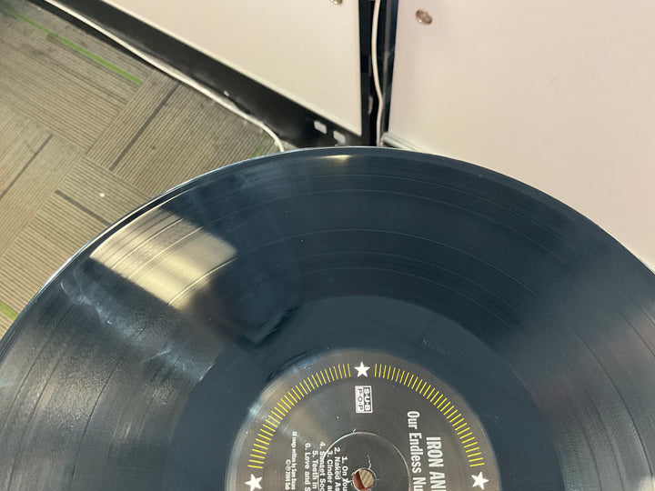 Iron & Wine - Our Endless Numbered Days (Black Vinyl) Very Good VR103026