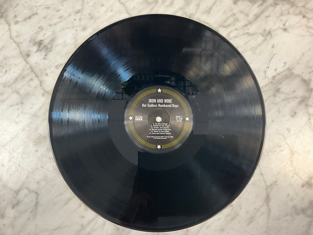 Iron & Wine - Our Endless Numbered Days (Black Vinyl) Very Good VR103026
