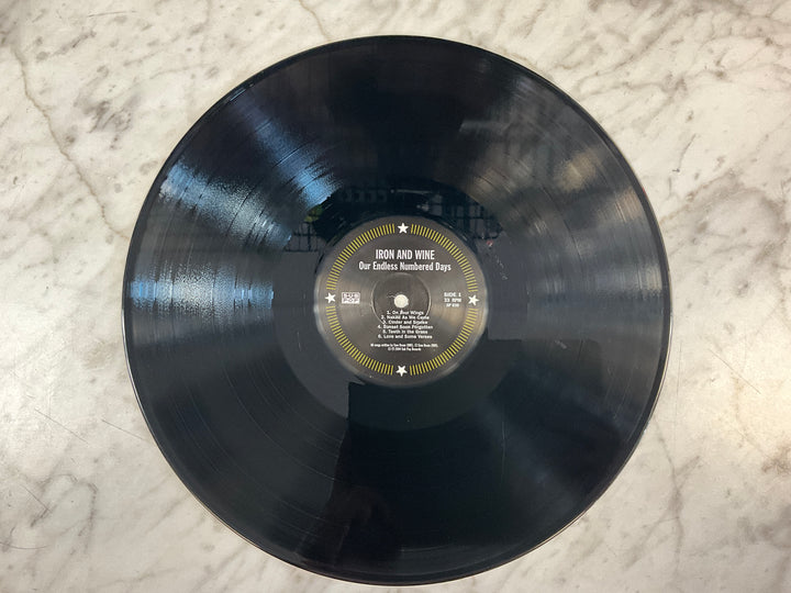 Iron & Wine - Our Endless Numbered Days (Black Vinyl) Very Good VR103026