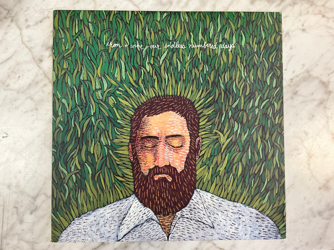 Iron & Wine - Our Endless Numbered Days (Black Vinyl) Very Good VR103026