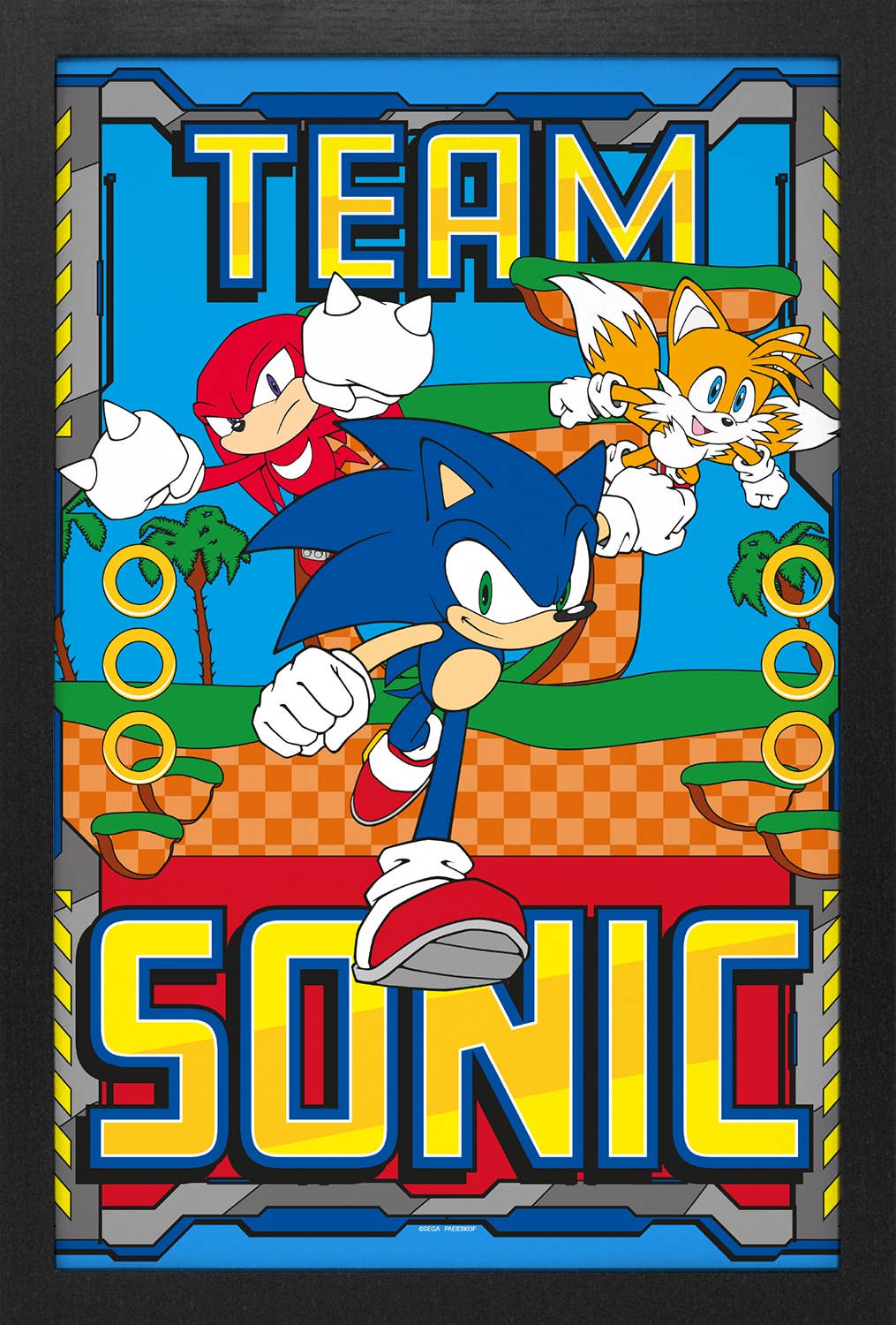 Sonic Team Sonic Framed Art Print