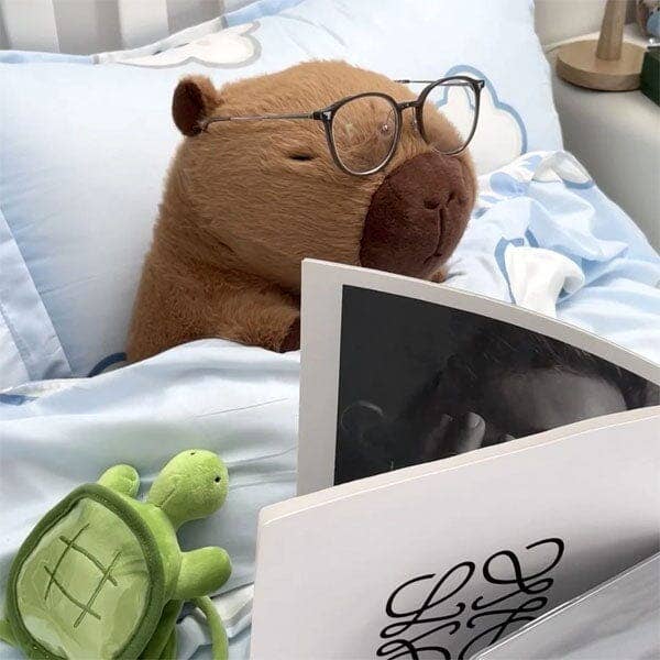 Capybara 9" Kawaii Plush w/ Turtle Backpack Squishy Pillow Toy (1) NE32026