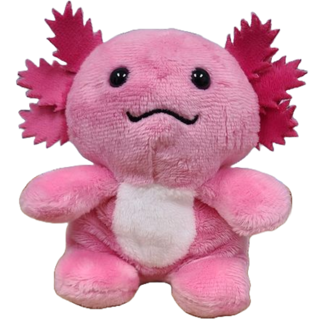 Canned Axolotl | Stuffed Animal Plush w/Jokes | Unique Gift NE32026