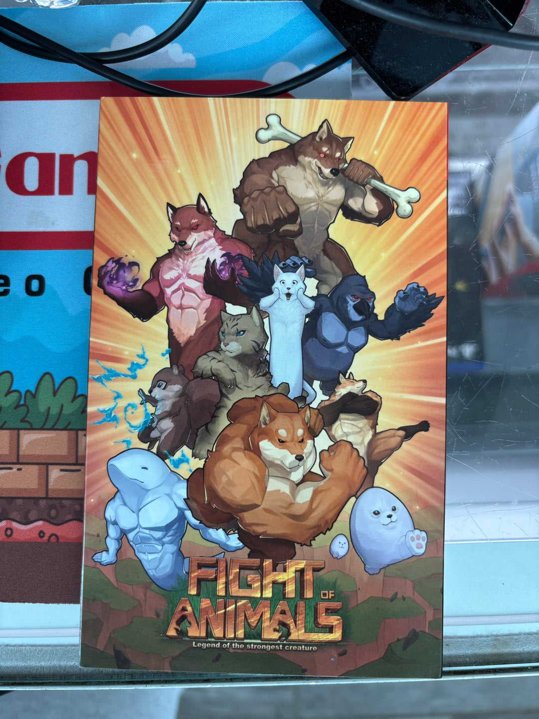 Fight of Animals - Nintendo Switch DS63026